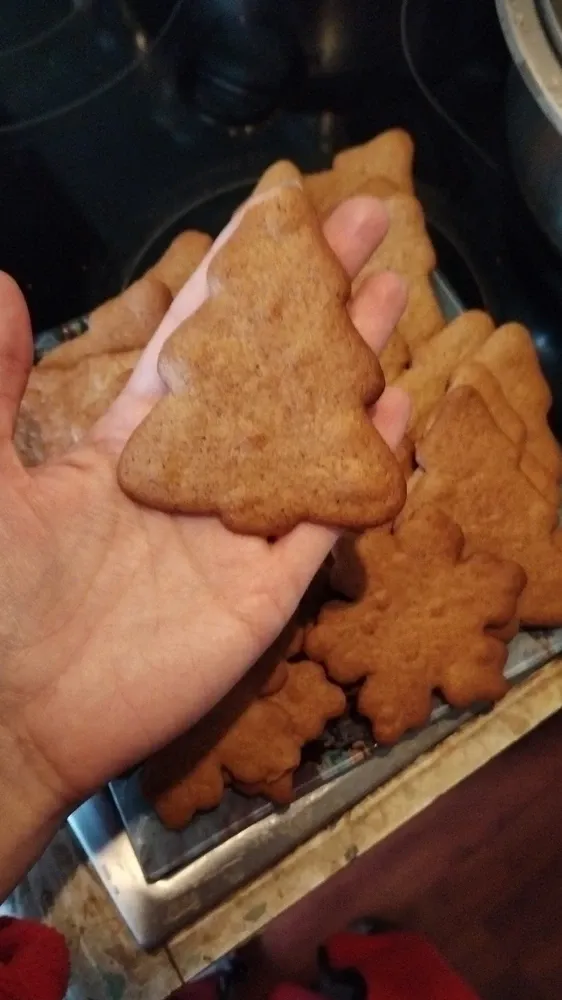 Фото из отзыва